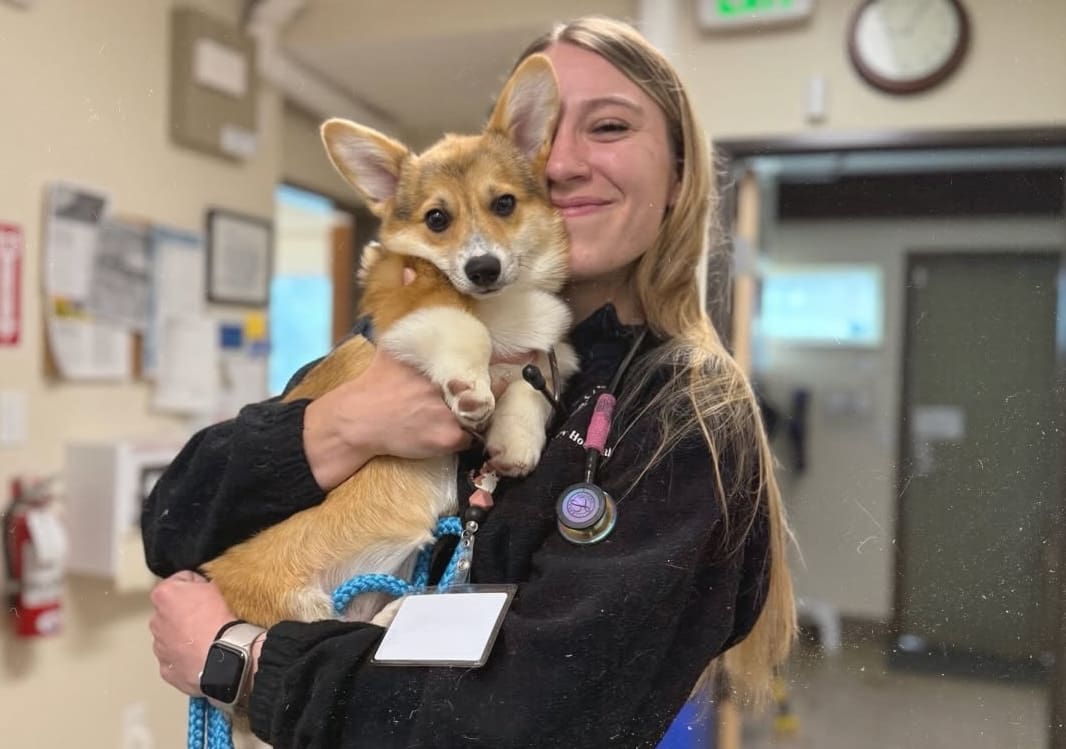 Woman And Dog Smiling